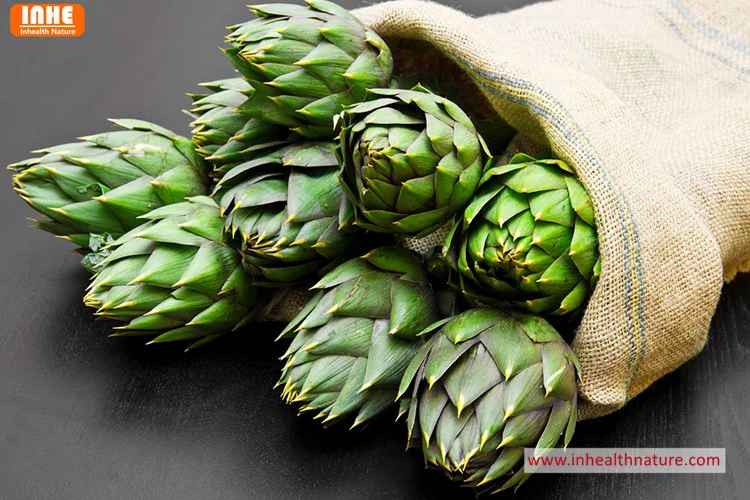 Artichoke