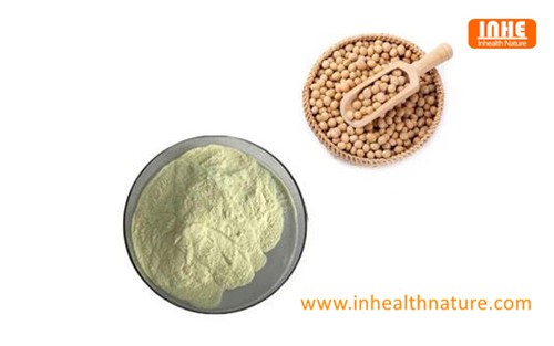 Soybean Germ Extract Powder Soybean Germ Extract Powder