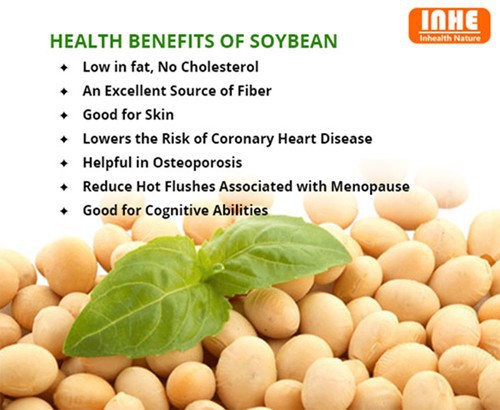 Health Benefits of Soybean Germ Extract Health Benefits of Soybean Germ Extract