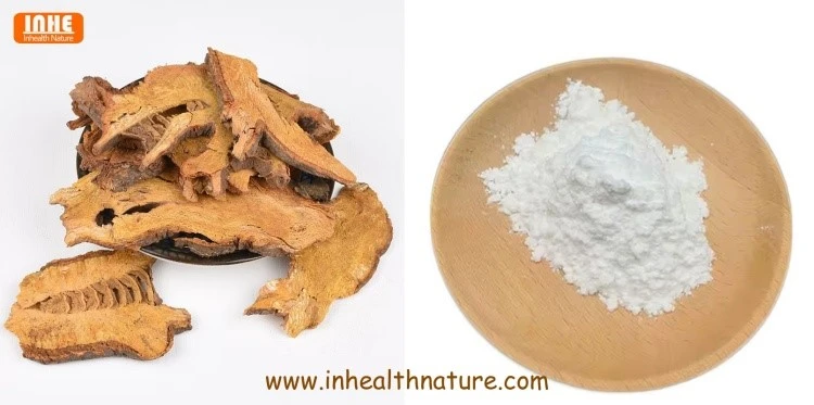 Polygonum Cuspidatum Dried Root and Water Soluble Resveratrol Powder Polygonum Cuspidatum Dried Root and Water Soluble Resveratrol Powder
