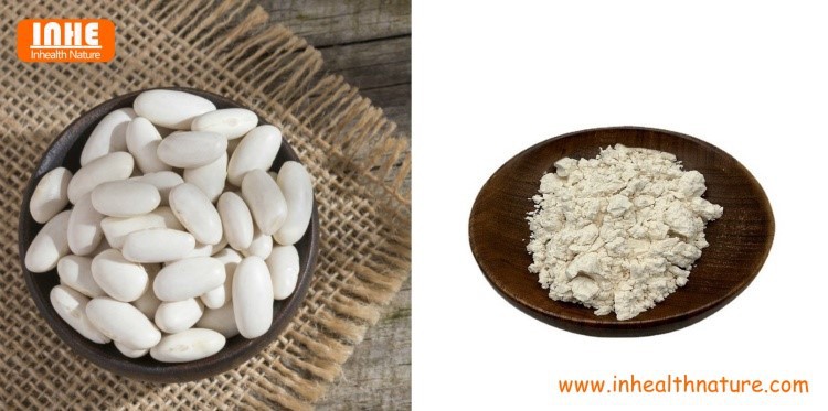 White Kidney Beans and White kidney Bean Powder