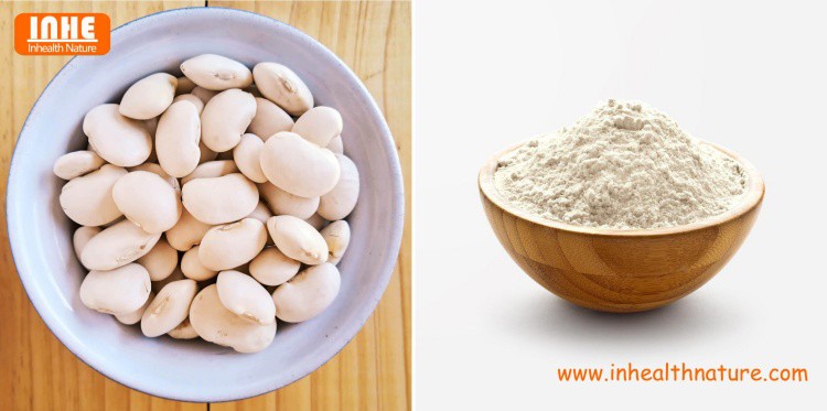 White Kidney Bean and White Kidney Bean Extract