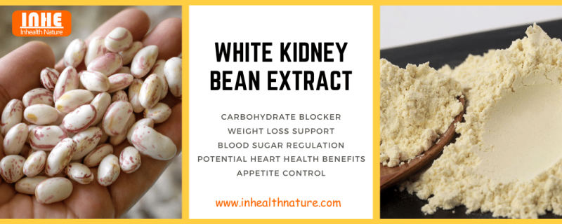 Incredible Health Benefits of White Kidney Bean Extract Powder